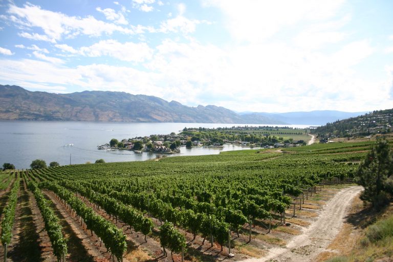 5 places to eat in West Kelowna StuffwithSvet by Jenna Swetlikoff